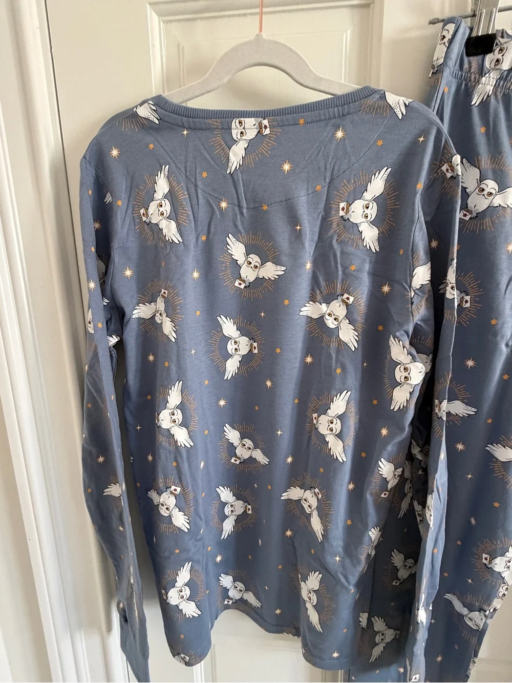 Harry Potter Hedwig Owl Pajama Set Kids 12-13 Blue PJs